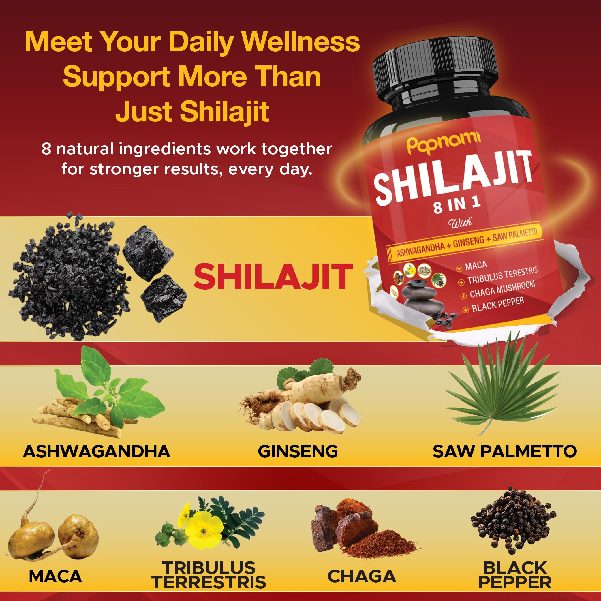 Papnami Shilajit Palma Enana: mezcla herbal para equilibrio diario.