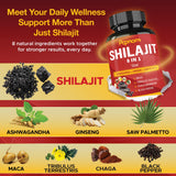 Papnami Shilajit Palma Enana: mezcla herbal para equilibrio diario.