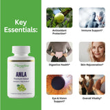 Paradise Herbs Amla, etiqueta orgánica visible, garantía de calidad.