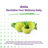 Paradise Herbs Amla Extracto 250 mg para soporte nutricional.