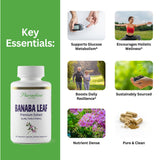Paradise Herbs Banaba, cápsulas de 250 mg para uso diario.