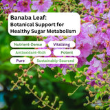 Paradise Herbs Banaba, ingredientes orgánicos y sin gluten.