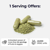 Paradise Herbs ORAC Energía probióticos: soporte digestivo y equilibrio intestinal.