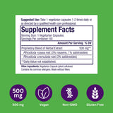 Uso sostenible con Rhodiola Paradise Herbs: apoyo a la resistencia física diaria.