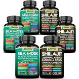 Parrox Shilajit: botella de 60 cápsulas para energía diaria