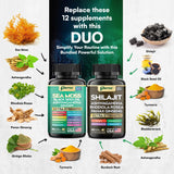 Parrox Shilajit: ingredientes clave para soporte diario
