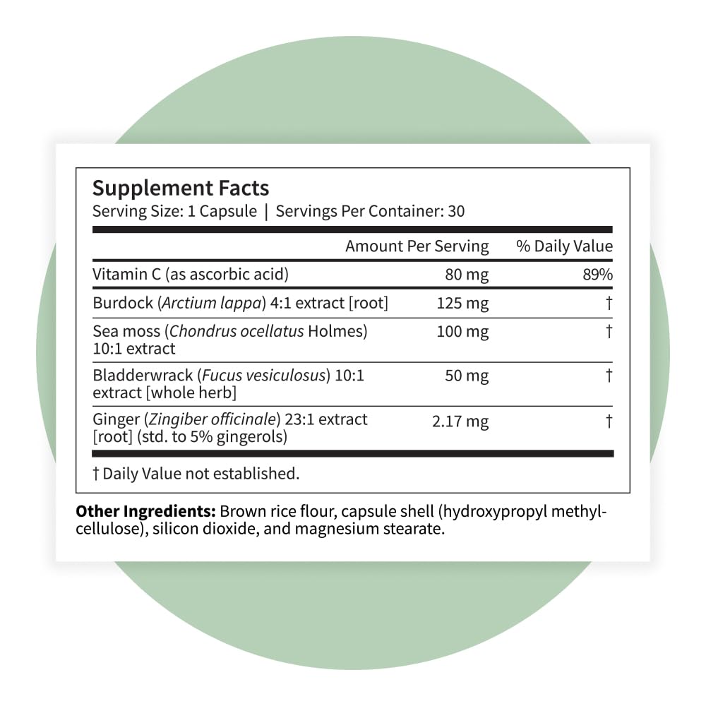 Pattern Wellness Sea Moss Complex detalle de ingredientes naturales para bienestar.