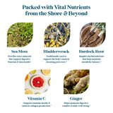 Pattern Wellness Sea Moss Complex ingredientes clave, musgo marino y jengibre para bienestar diario.