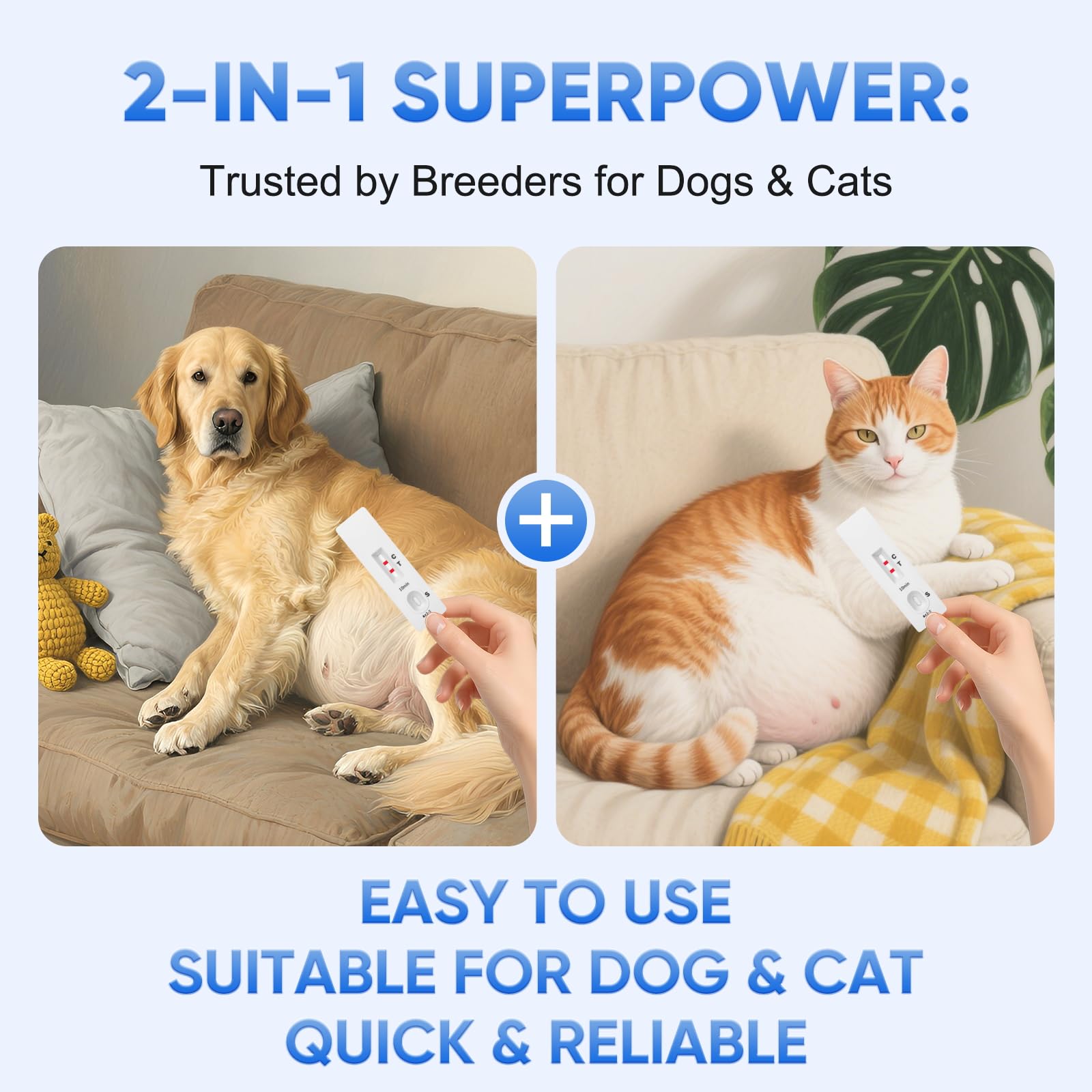 Kit de prueba de embarazo para gato de PawsXfun en casa