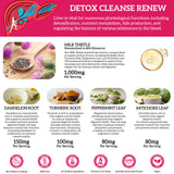 PAYAOCZ Ingredientes diente de leon alcachofa muestran beneficios naturales