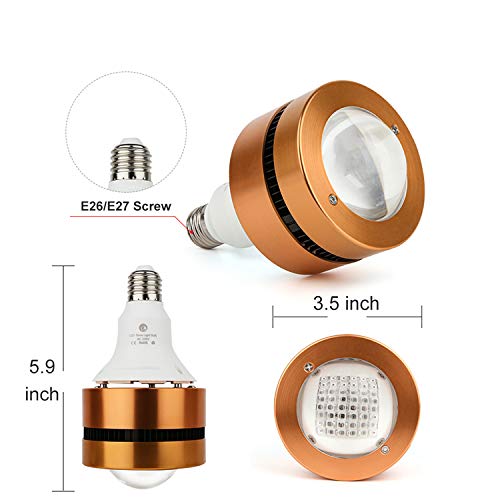 PDGROW 48 LED rojo 670nm para revitalizar la piel en casa