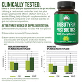 Cápsulas Peak Performance CoreBiome Tributyrin, fáciles de tragar para la salud digestiva diaria.