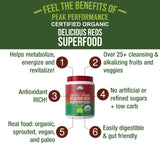 Peak Performance Organic Reds polvo sauco con antioxidantes naturales.