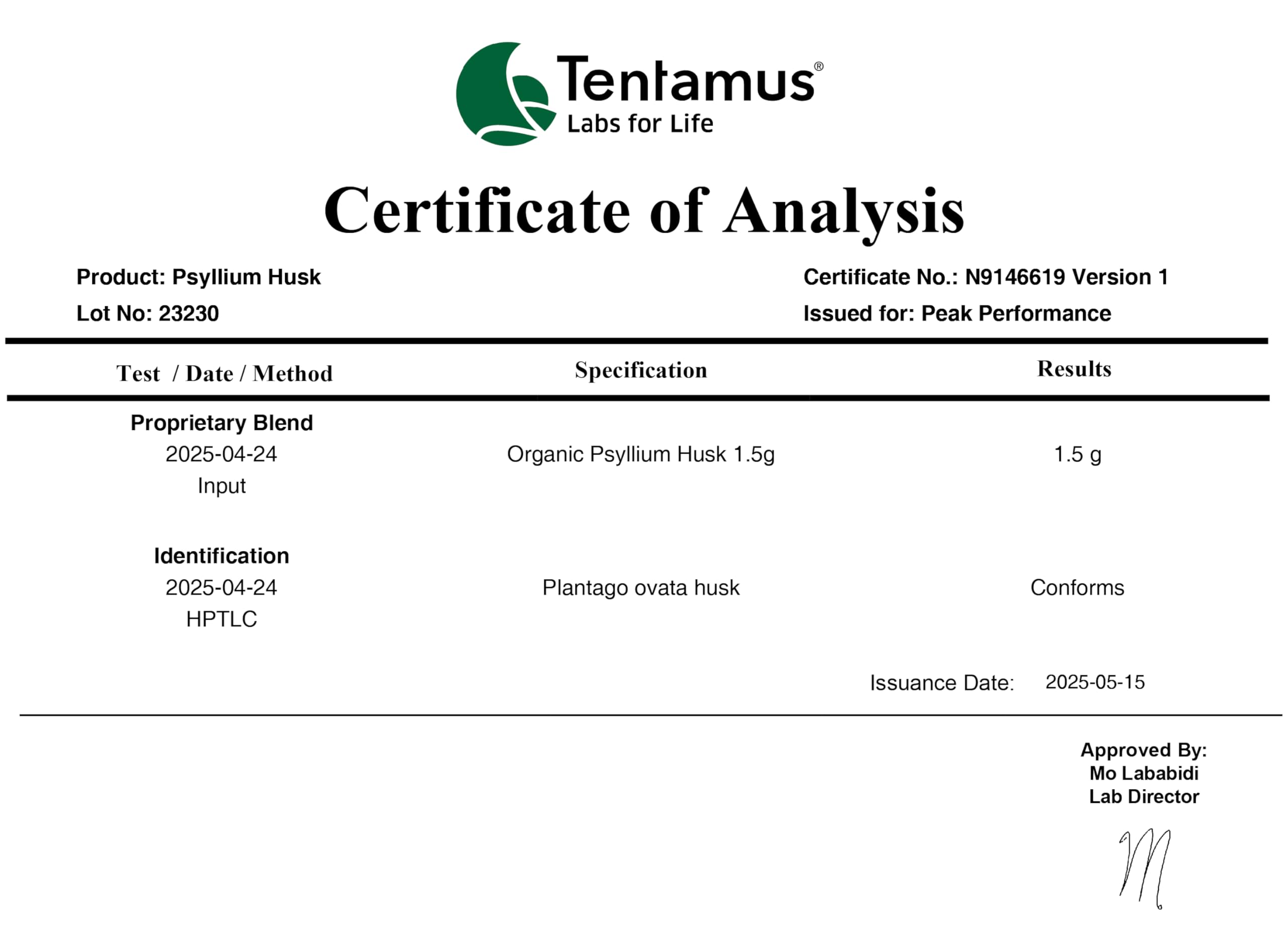 Ingredientes de Peak Performance psyllium husk cápsulas, sin gluten ni conservantes