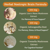 Infografía de ingredientes clave para la salud cerebral.