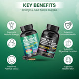 Peakhealth Combo de dos botellas, suplemento práctico para día a día