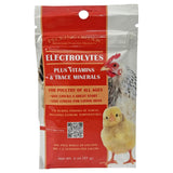 Pecking Order Electrolitos en botella para pollitos y gallinas, apoyo en el estrés.