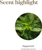Aroma refrescante de Peppermint Young Living para momentos de claridad.