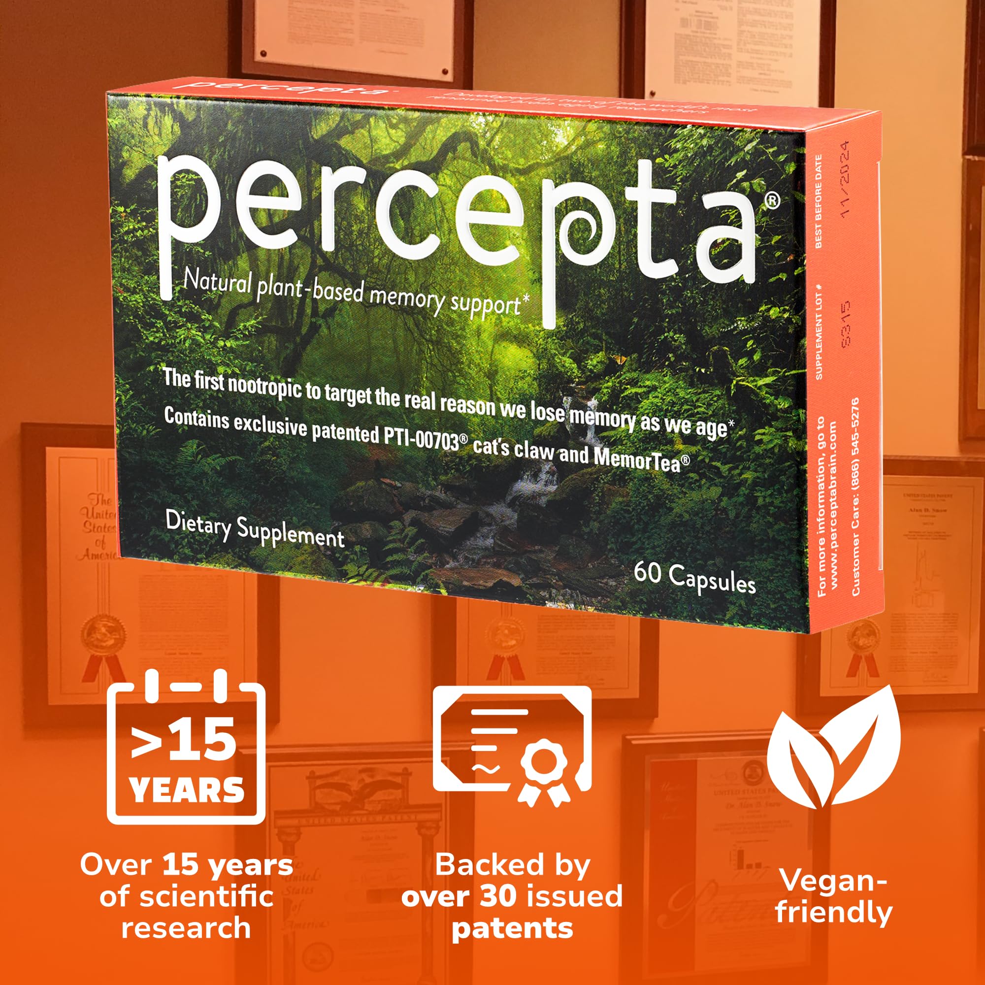 Percepta MemorTea: extracto de té oolong para apoyo cognitivo