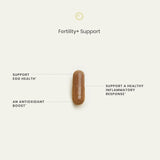 Perelel Fertility Support: empaque frontal con diseño limpio para almacenar.