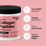 Polvo de colágeno sabor chocolate de Perfect Keto.