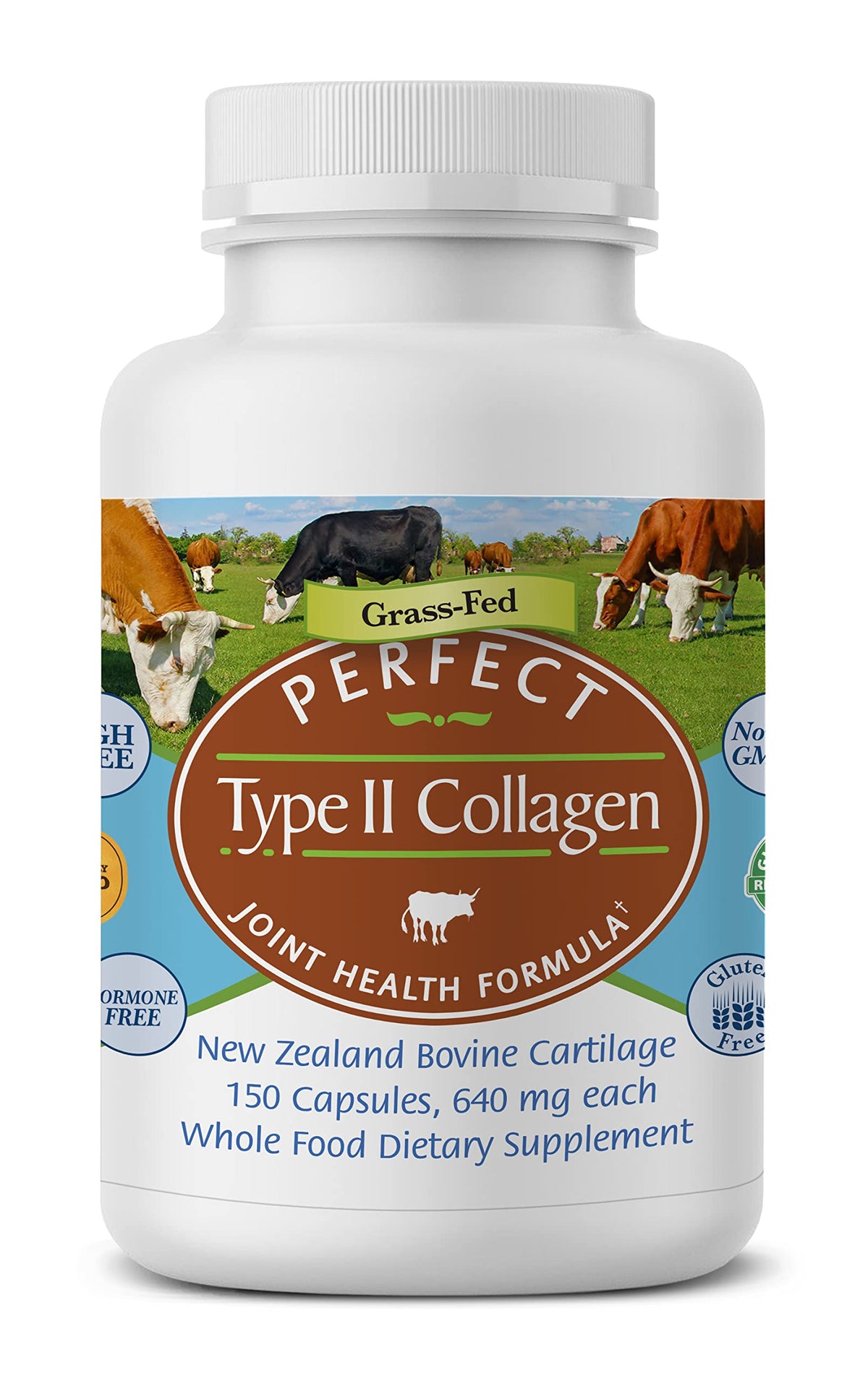 Perfect Supplements Colágeno Tipo II – botella, soporte articular diario.
