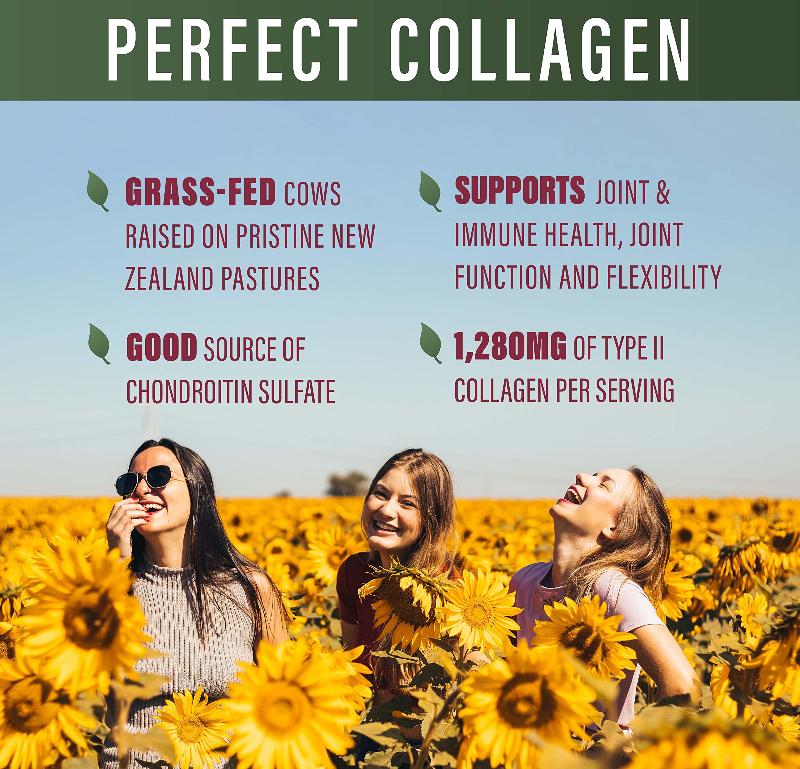 Perfect Supplements Colágeno Tipo II – etiqueta, opción ética sin OGM.