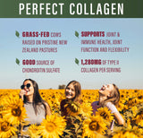 Perfect Supplements Colágeno Tipo II – etiqueta, opción ética sin OGM.