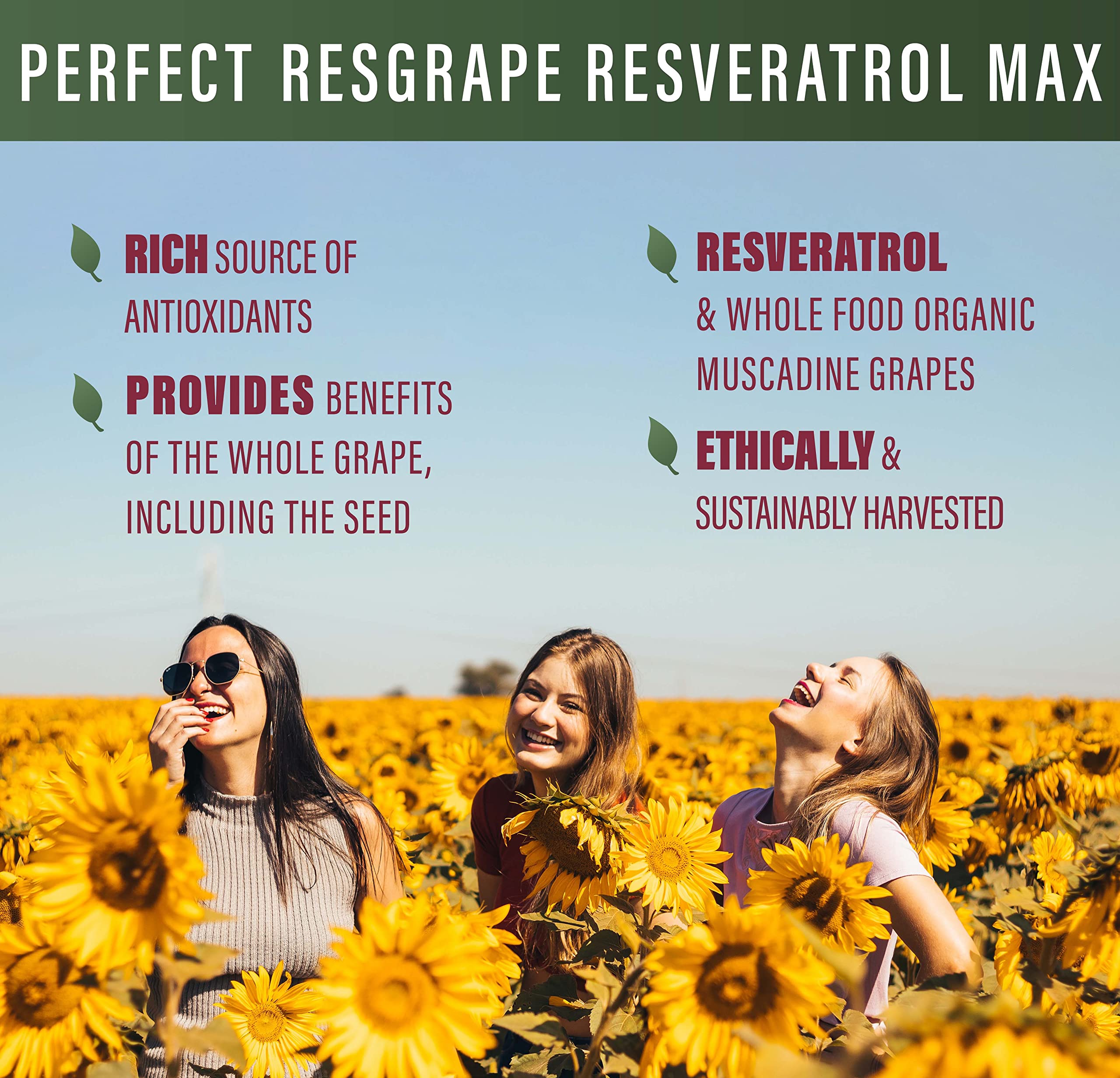 Perfect Supplements ResGrape Resveratrol MAX — empaque práctico para guardar cápsulas