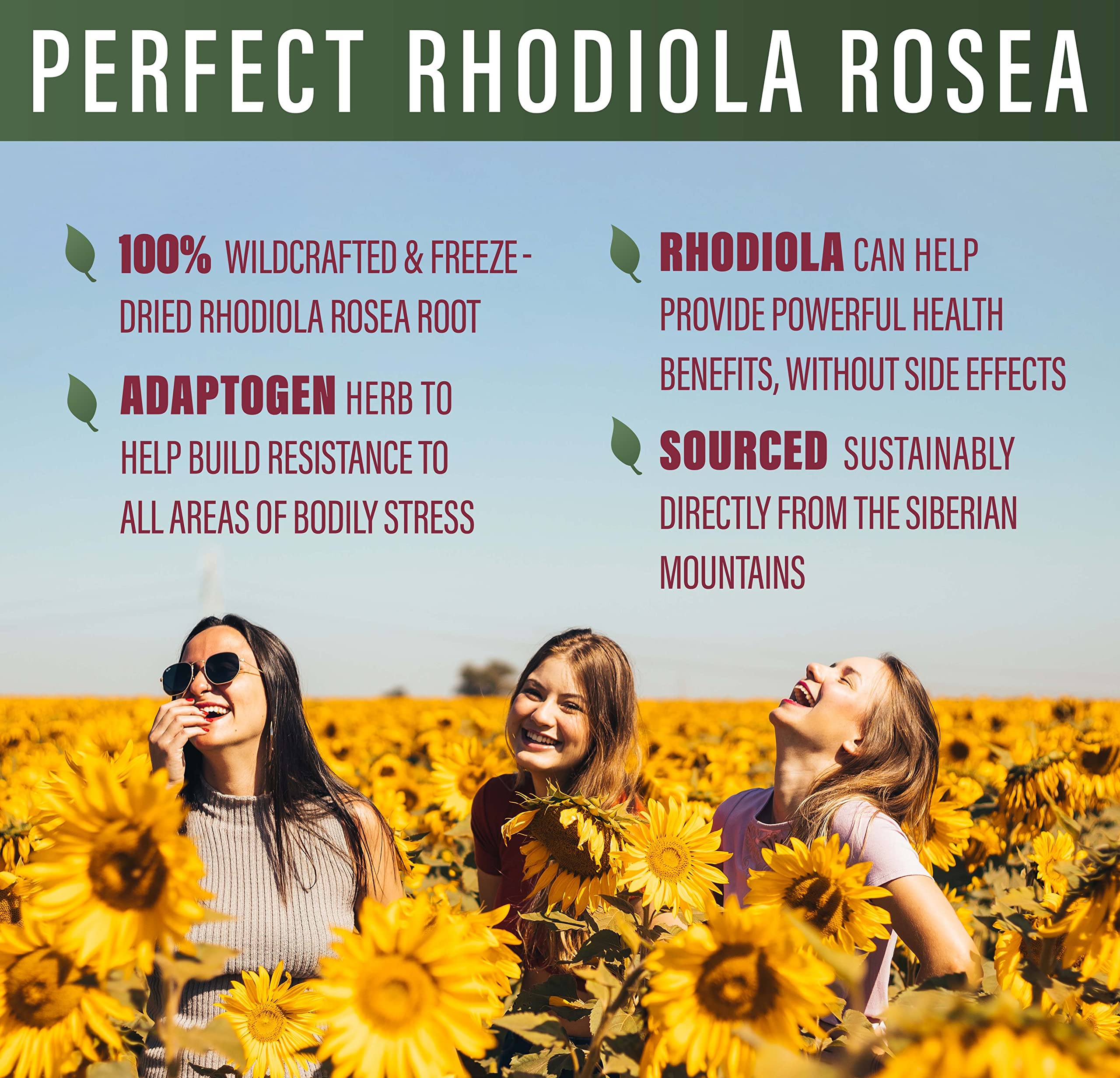 Cápsulas de Rhodiola Rosea de Perfect Supplements para enfoque sostenido.