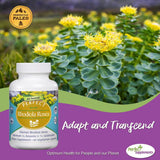 Rhodiola Rosea sin aditivos de Perfect Supplements para ingesta limpia.