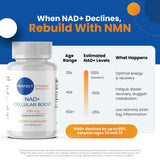 Perfect Vitamin NAD+: enfoque en energía celular durante entrenamientos y recuperación