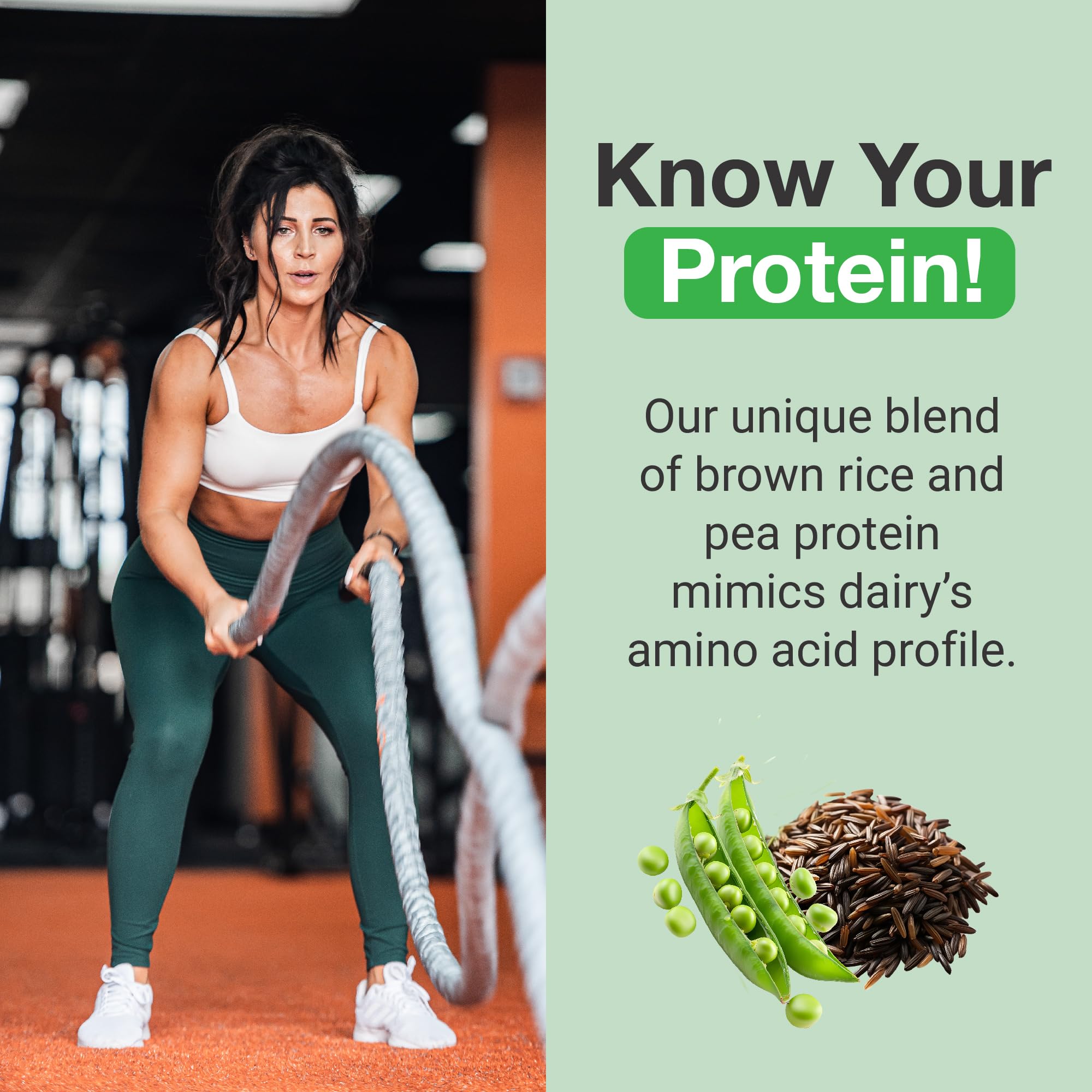 PEScience Select Vegan Protein Powder, libre de gluten para desayunos y batidos.