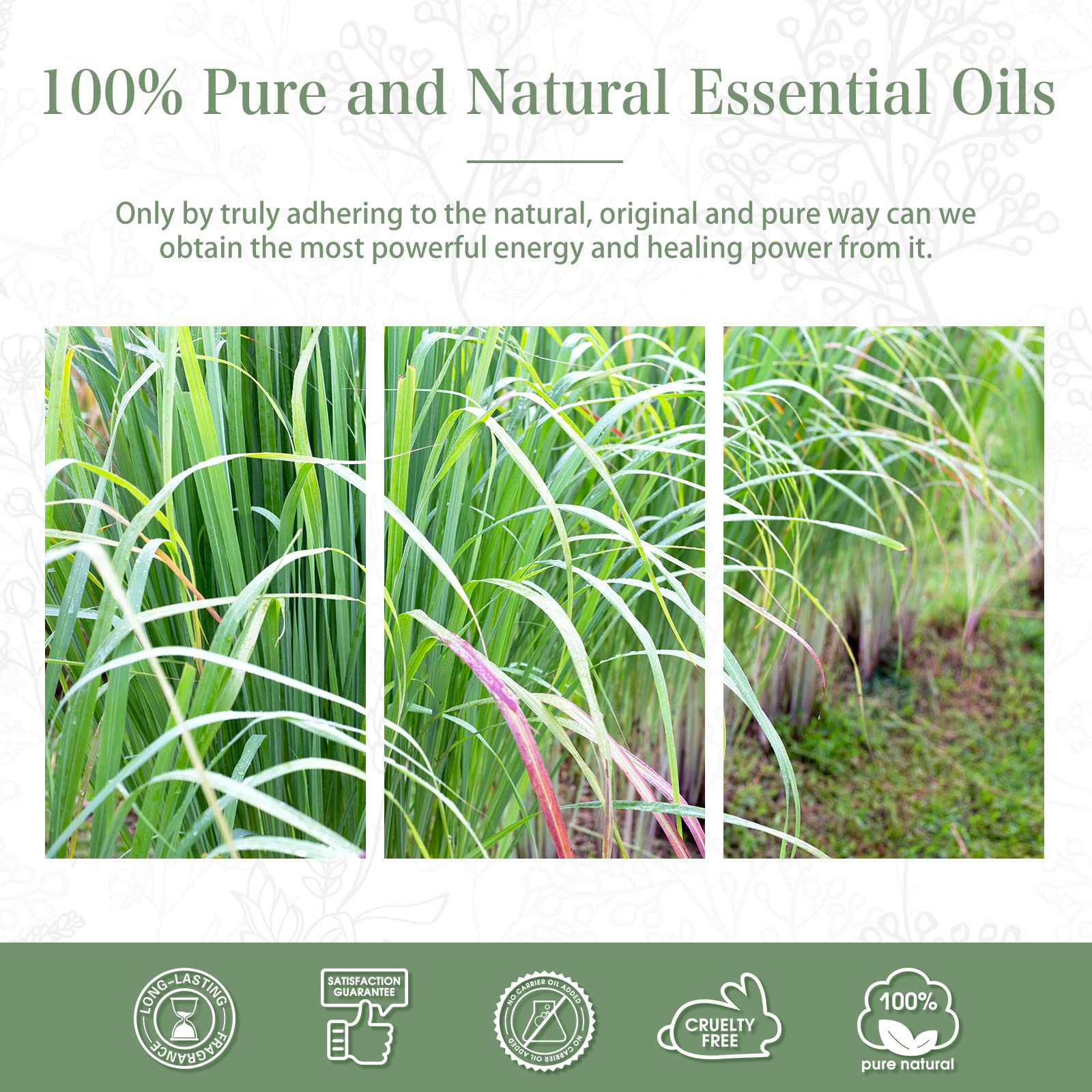 PHATOIL citronela, aroma relajante para mejorar el ambiente del hogar.