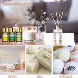 PHATOIL vainilla frasco: fragancia cálida para difusor y velas
