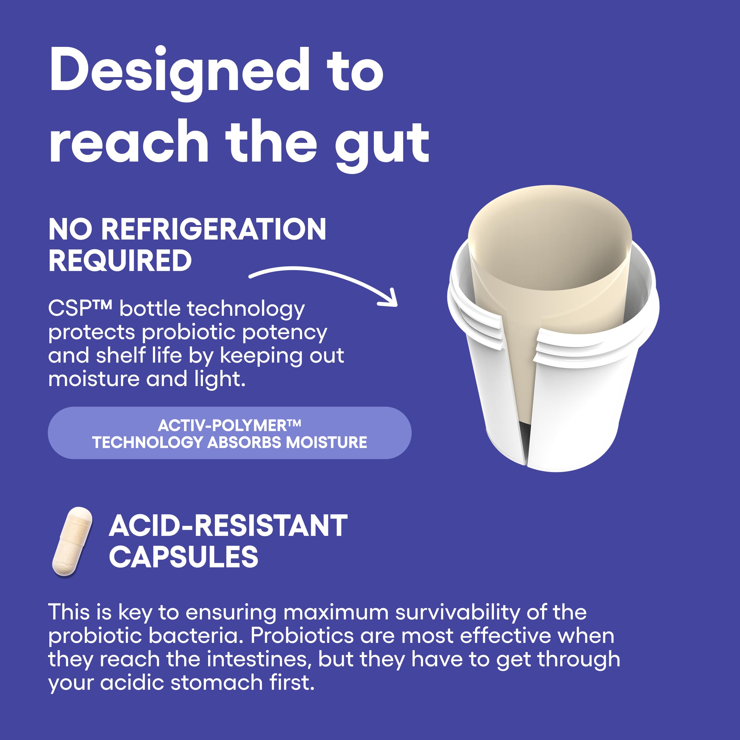 Vitamina B12 y Folato en Mood Probiotic respaldan energía y metabolismo.