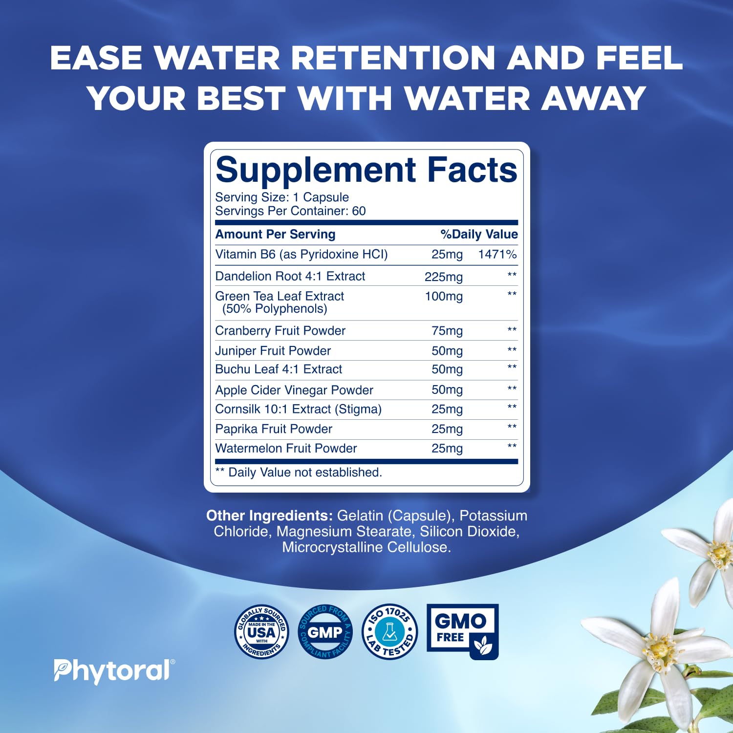 Diente de León PHYTORAL ingrediente natural para equilibrar líquidos