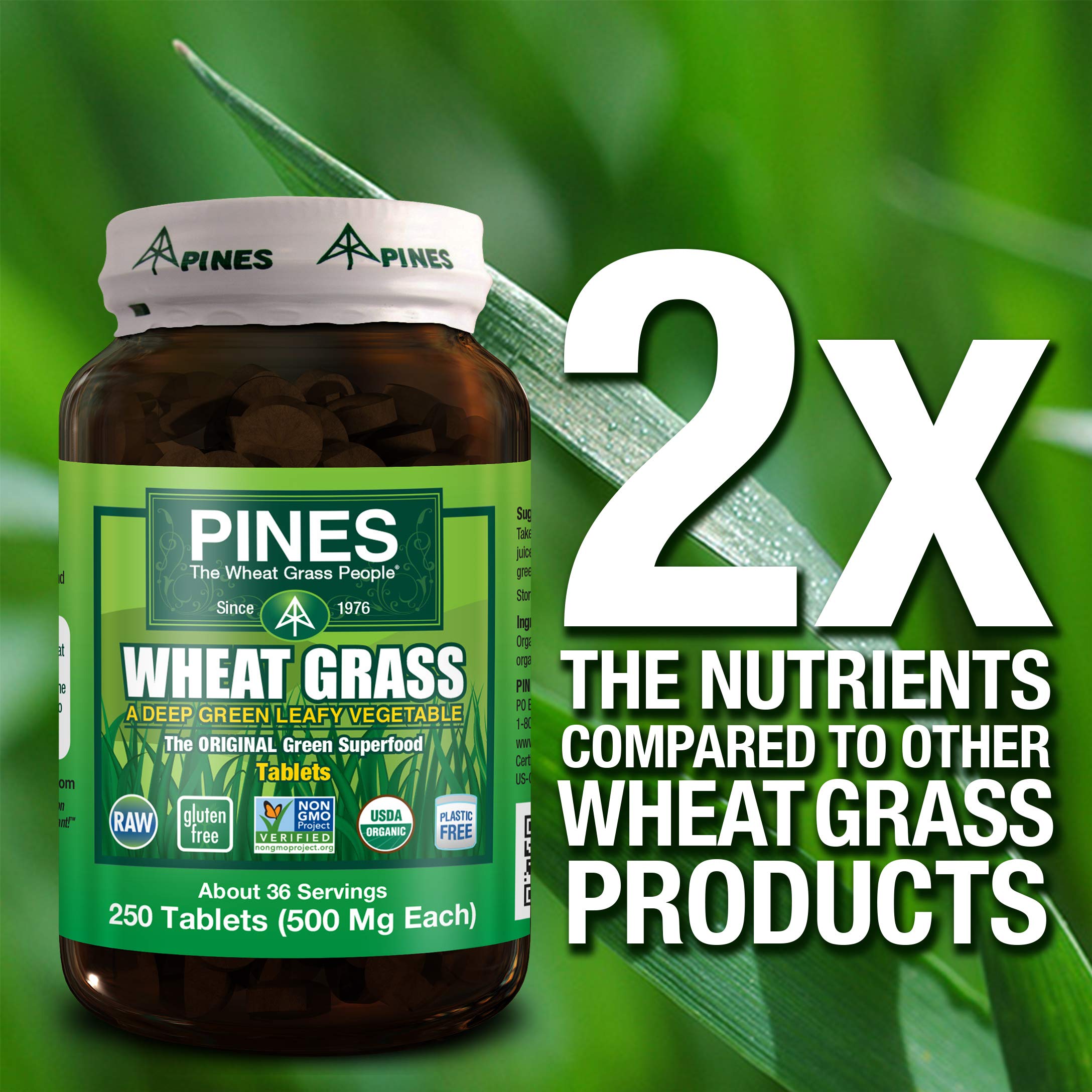 Pines tabletas de trigo verde, sin gluten para dietas.
