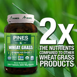 Pines tabletas de trigo verde, sin gluten para dietas.