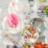 No added sugar label on PIQUE BT Fountain Beauty hydration powder.
