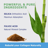 Planet Power SiPower Silica, ingredientes-veganos en fórmula.