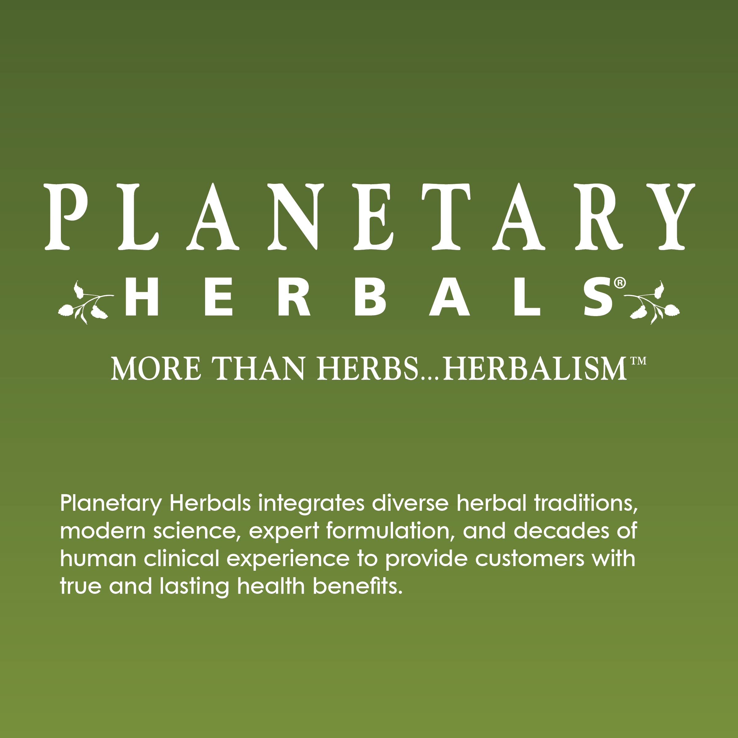 Planetary Herbals Espectro Completo Andrographis 400 mg, caja en mesa, opción conveniente para viaje.