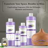 Plant Guru Lavanda fragancia en vela artesanal para crear atmósferas relajantes.