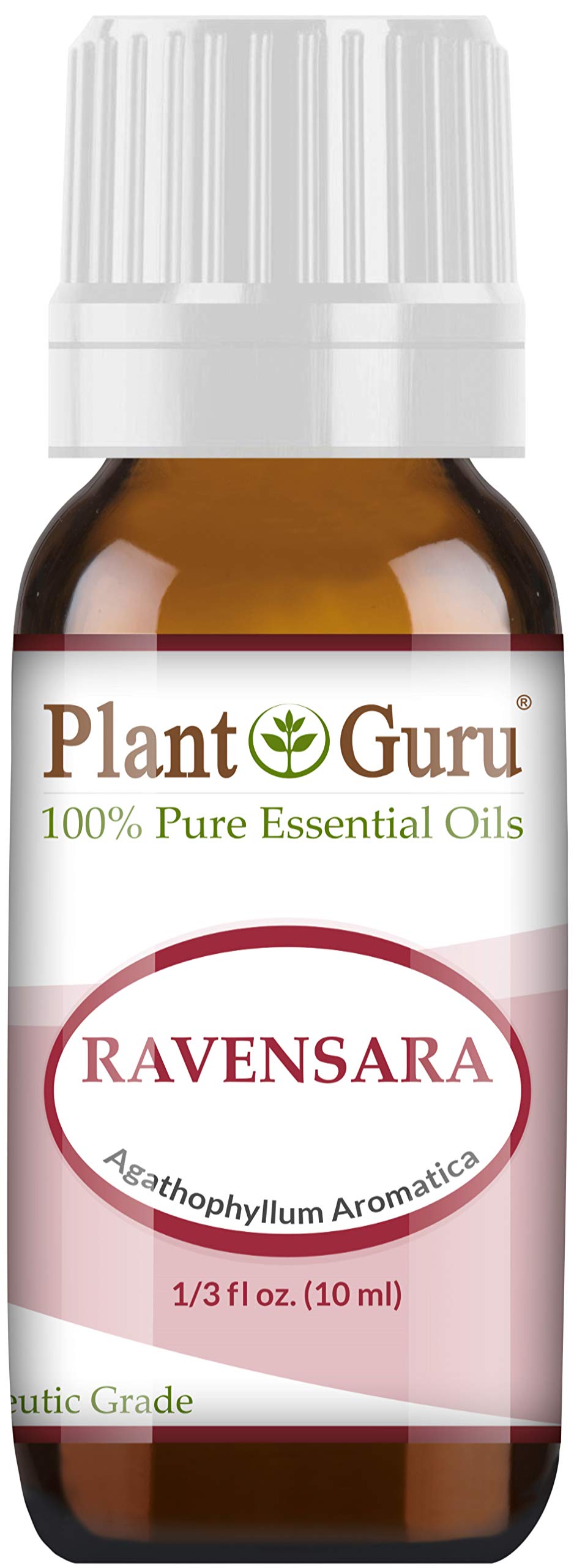 Plant Guru Ravensara Salvaje: aceite esencial para aromaterapia y mezclas con lavanda o eucalipto