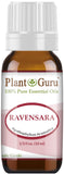 Plant Guru Ravensara Salvaje: aceite esencial para aromaterapia y mezclas con lavanda o eucalipto