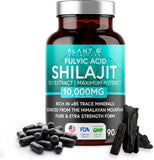 PLANT.O NUTRITION Shilajit cápsulas 10,000 mg: energía sostenida para días activos