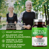 PLANT.O NUTRITION cápsulas vegetales sin rellenos para uso diario.