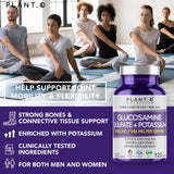 PLANT.O NUTRITION Glucosamina Sulfato Potasio, icono de potasio para absorción