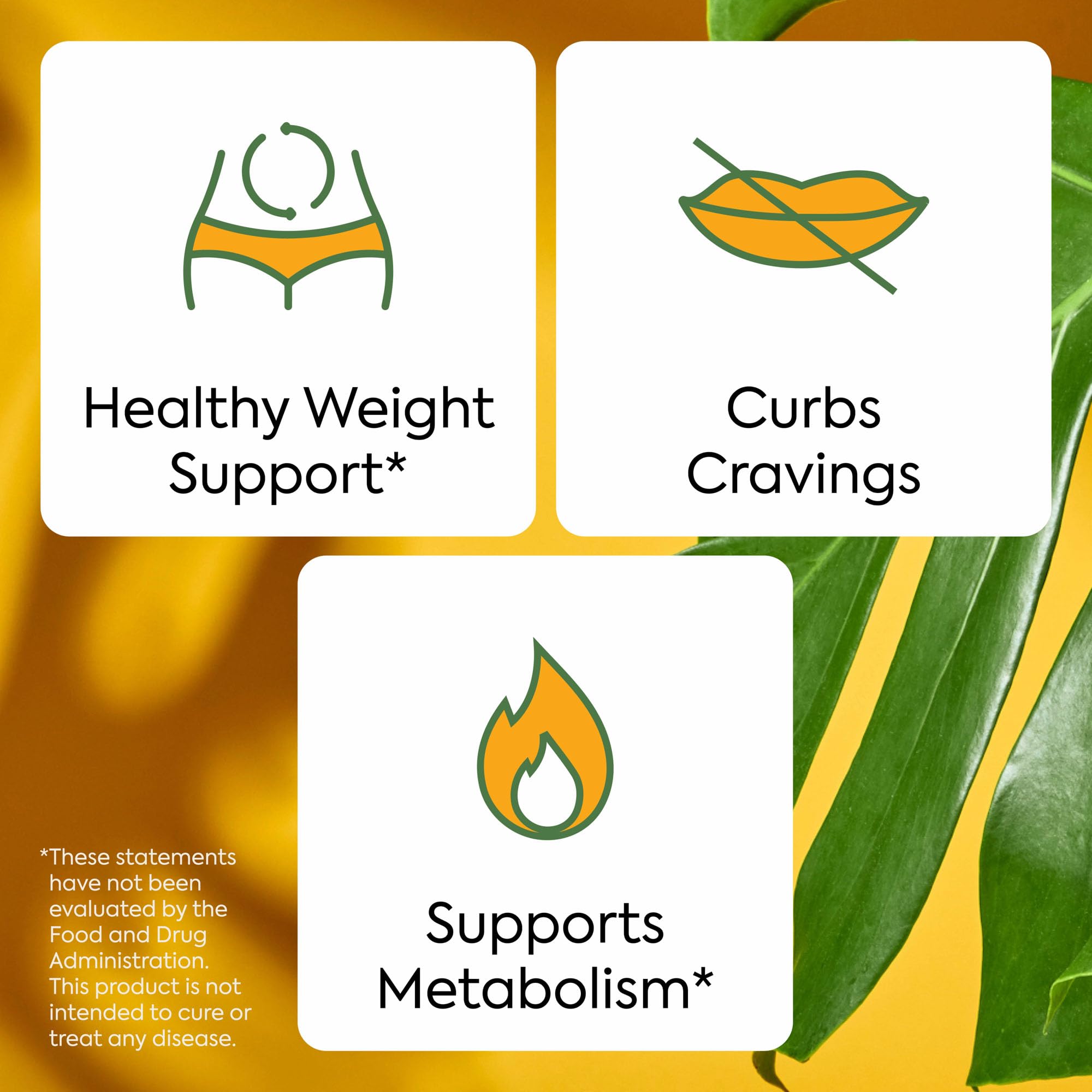 Plant People WonderBurn canela, ingrediente clave con aroma cálido.