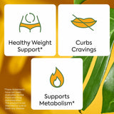 Plant People WonderBurn canela, ingrediente clave con aroma cálido.